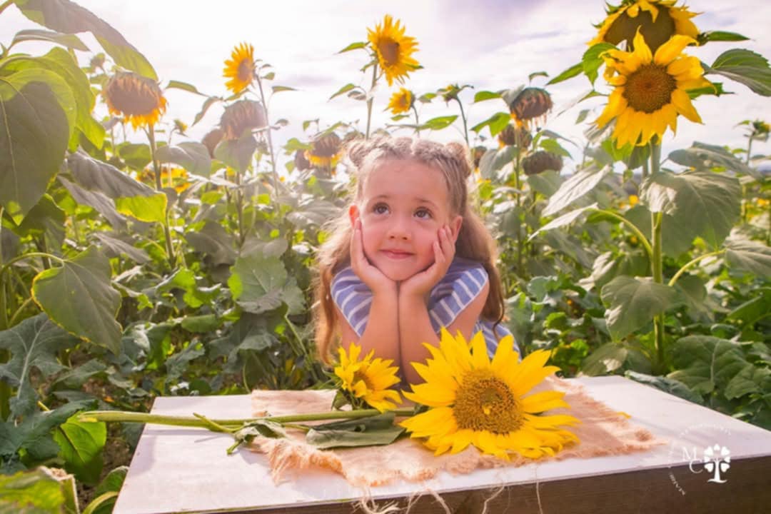 Holidays Photos Marie Carden Photography In Poole, Dorset 4